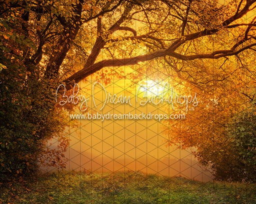 Golden Fall Sunset (CC)