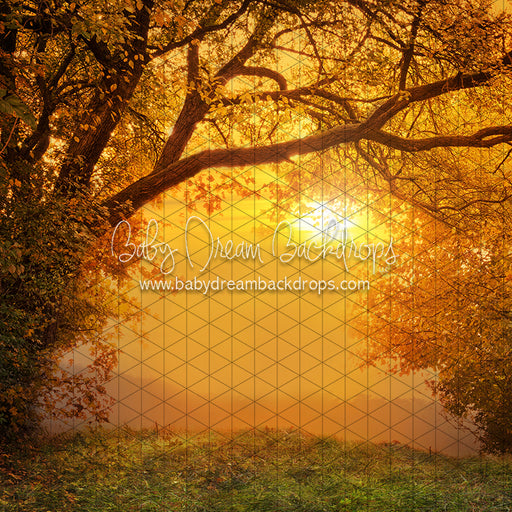 Golden Fall Sunset (CC)