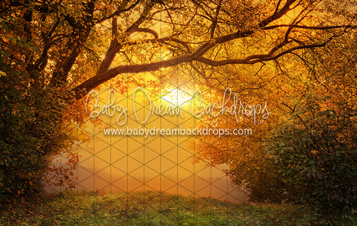 Golden Fall Sunset (CC)