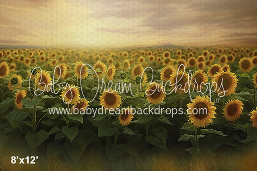 Golden Field (BD)