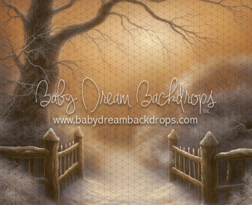 Golden Hour Winter Path (LL)