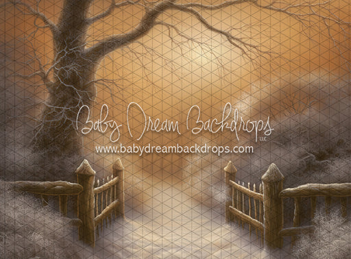 Golden Hour Winter Path (LL)