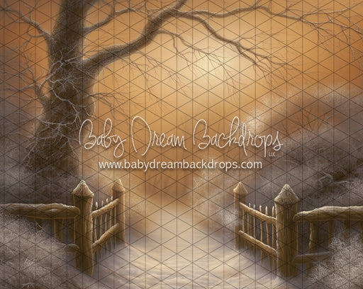 Golden Hour Winter Path (LL)