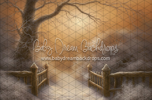 Golden Hour Winter Path (LL)