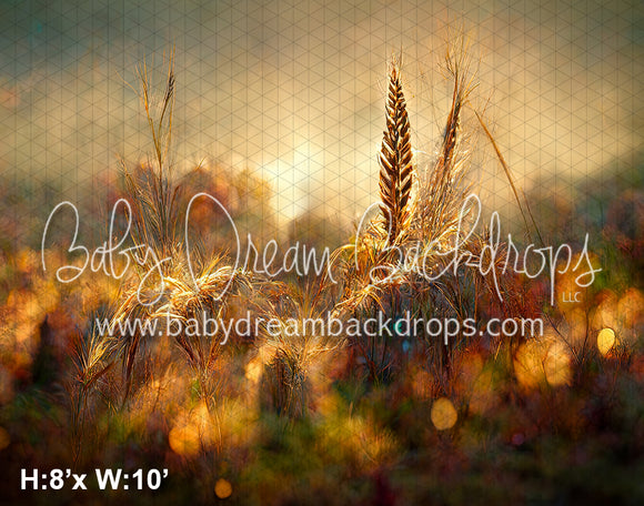Golden Wheat Stalks (SM)