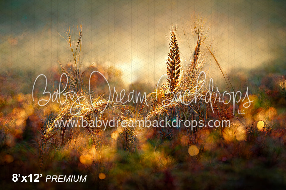 Golden Wheat Stalks (SM)