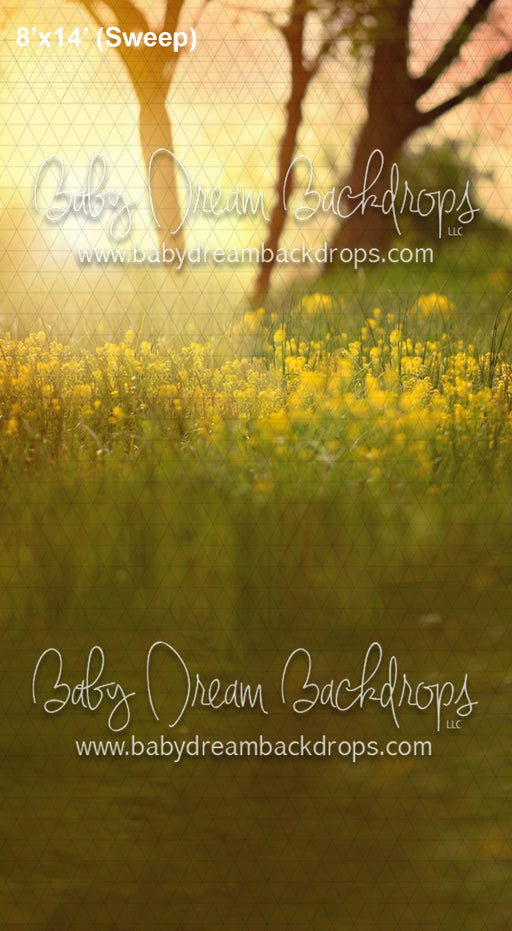 Goldenrod Sweep (LG)