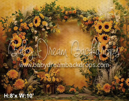 Goldy Honey Bear (BD)