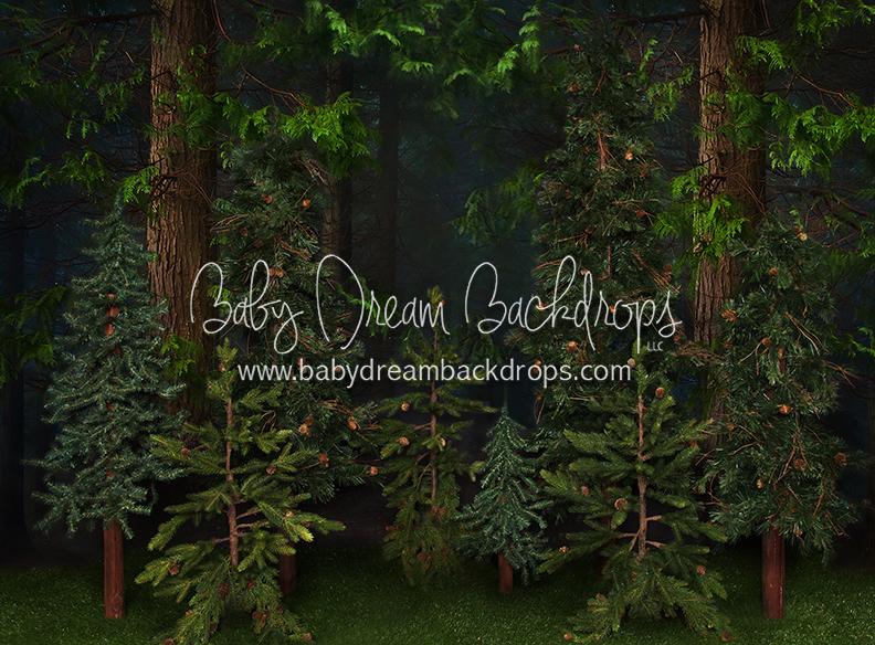 X Drop gone camping woods