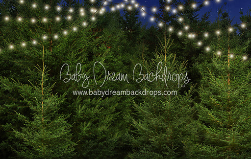 Good Night Pines Lights