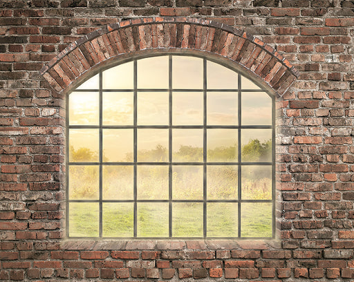 Good Morning Sunshine