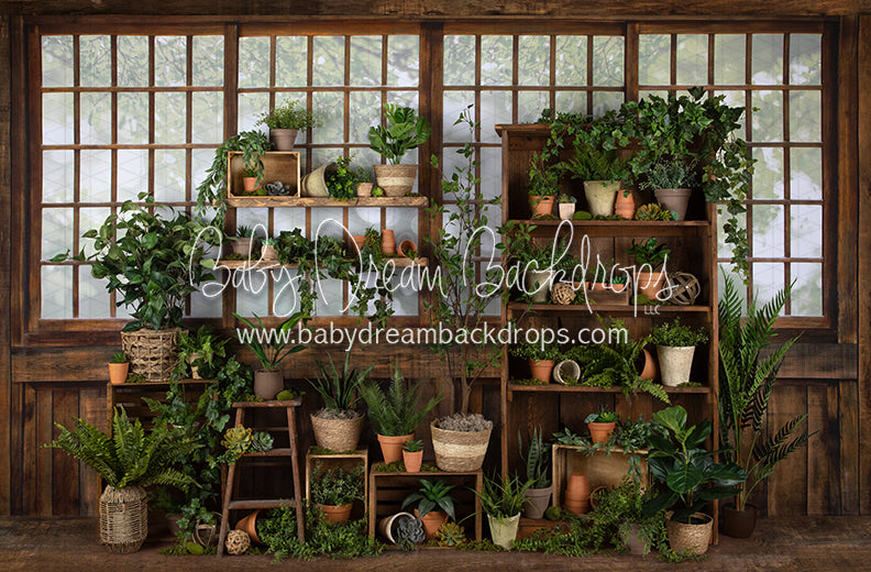 Gorgeous Green House