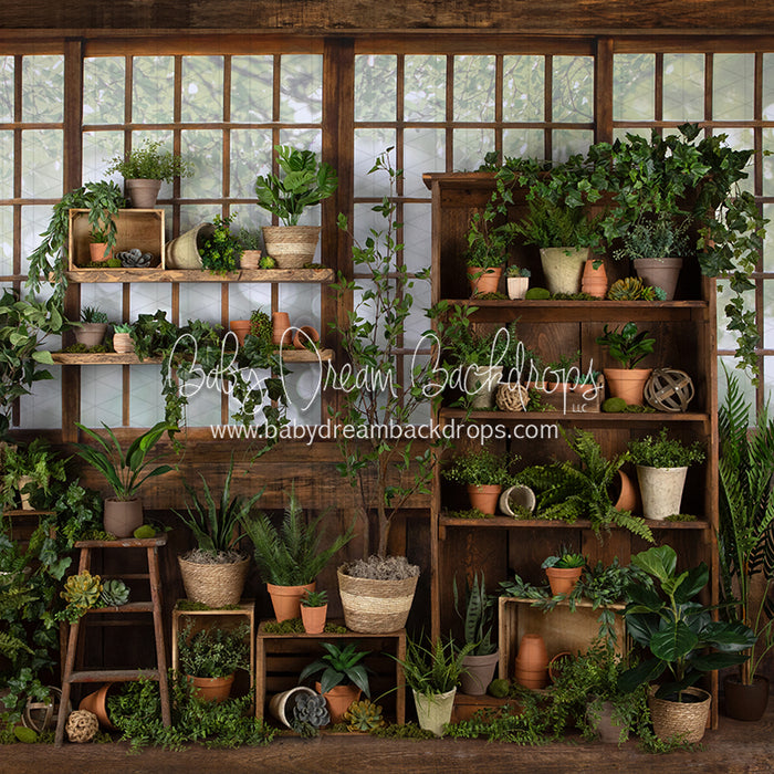 Gorgeous Green House