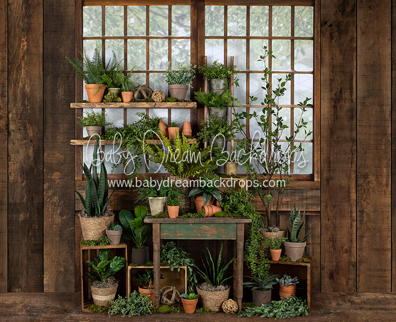 Gorgeous Green House Side