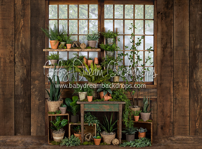 Gorgeous Green House Side