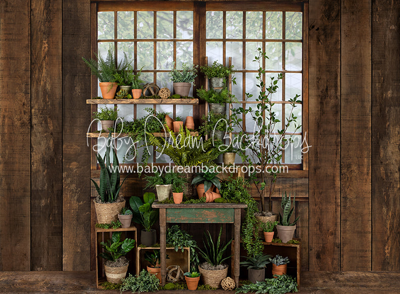 Gorgeous Green House Side (JA)