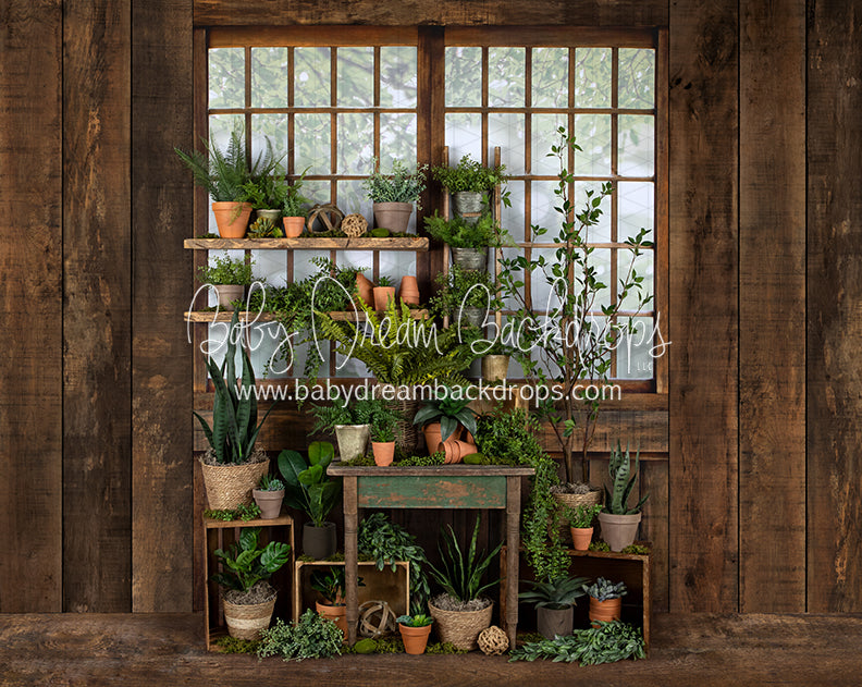 Gorgeous Green House Side