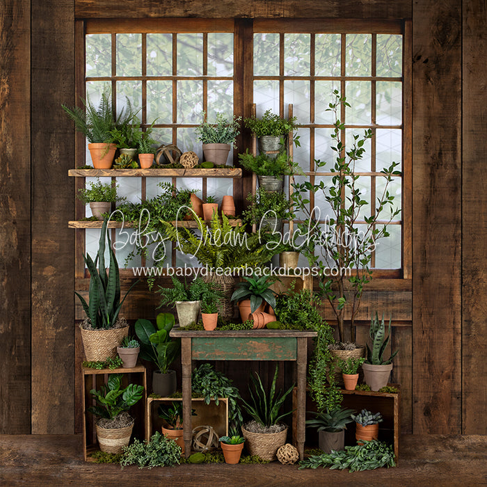 Gorgeous Green House Side