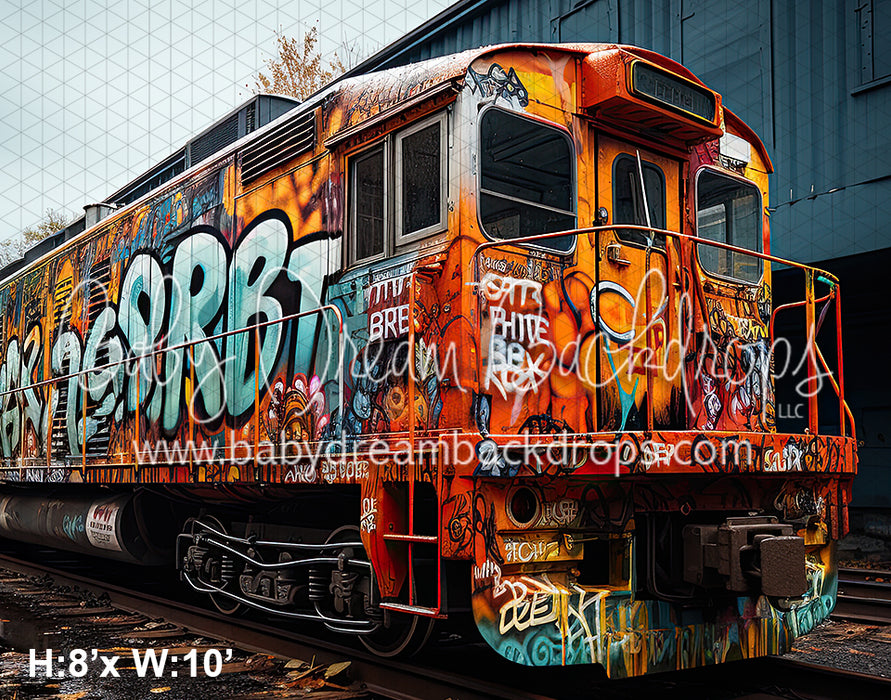 Graffiti on Tracks (BD)