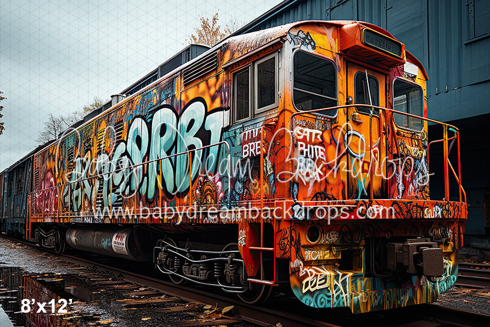 Graffiti on Tracks (BD)