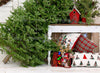 Grandma's Porch Christmas Tree