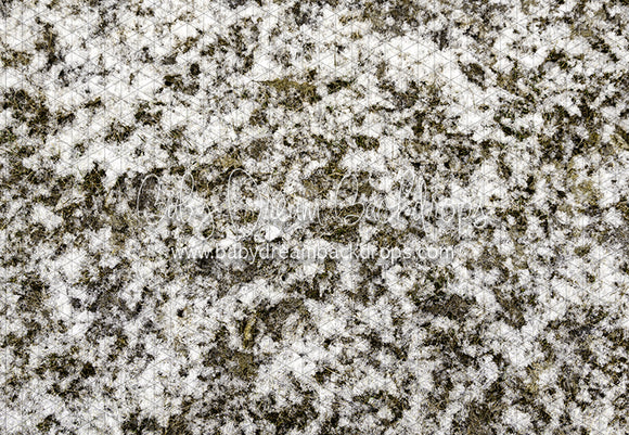 Grass First Snow (JA)