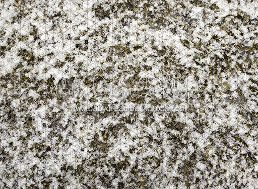 Grass First Snow (JA)