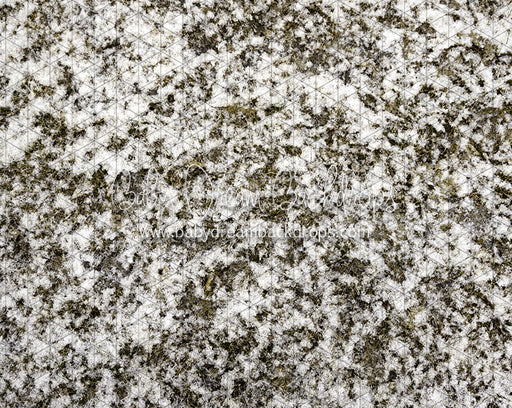 Grass First Snow (JA)