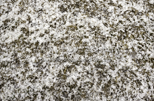 Grass First Snow (JA)