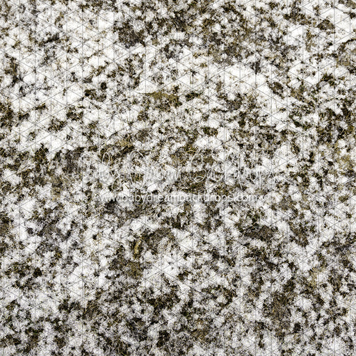 Grass First Snow (JA)