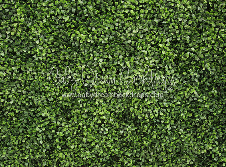 Great Greens - 6x8 - CC  