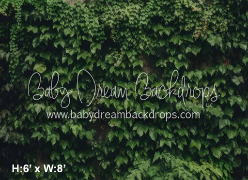 Greenery Wall Left (KS)