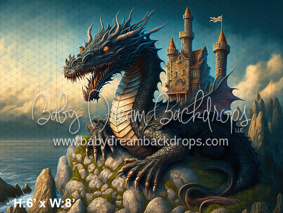 Guarding the Castle (MD)