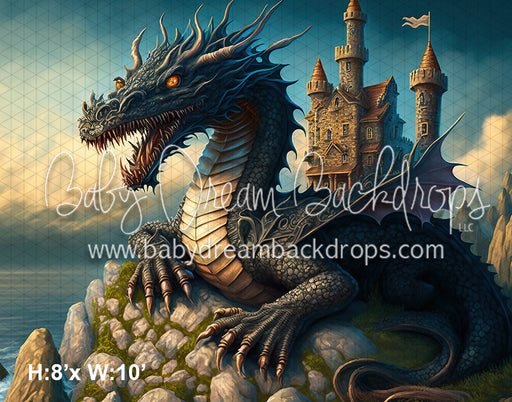 Guarding the Castle (MD)