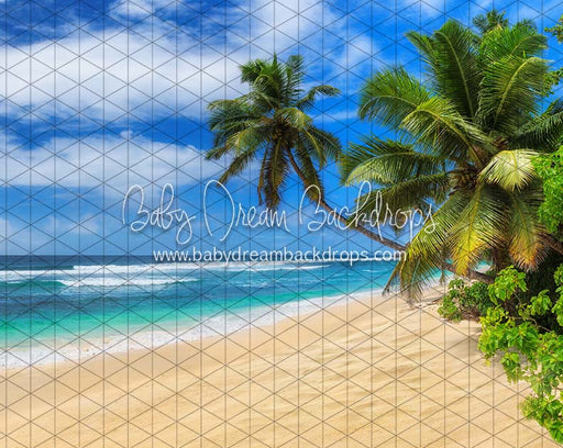 Hang Loose Beach (JA)