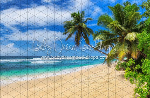 Hang Loose Beach (JA)