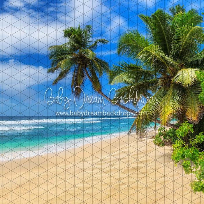 X Drop hang loose beach ja