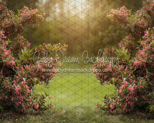 Happy Hedges Pink  (CC)