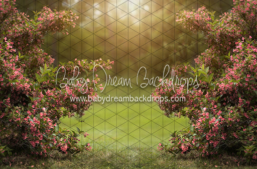 Happy Hedges Pink  (CC)