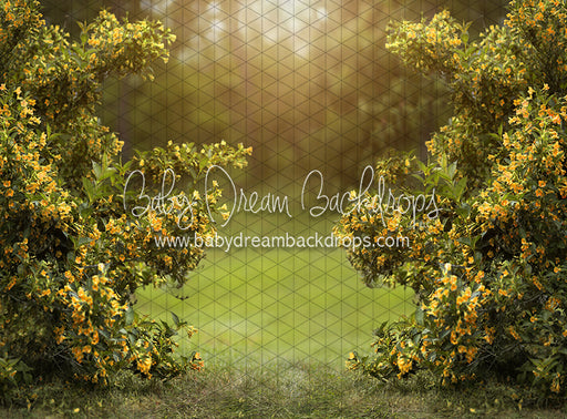 Happy Hedges Yellow (CC)