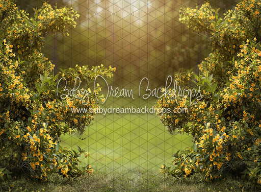 Happy Hedges Yellow (CC)