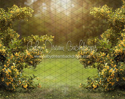 Happy Hedges Yellow (CC)