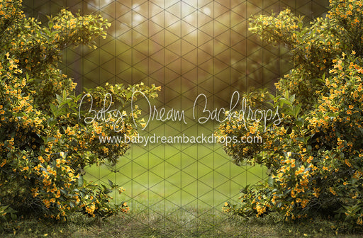 Happy Hedges Yellow (CC)