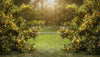 Happy Hedges Yellow (CC)