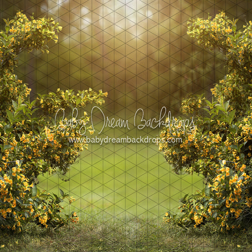 Happy Hedges Yellow (CC)