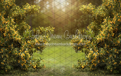 Happy Hedges Yellow (CC)