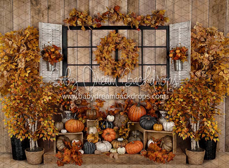 Harvest Home Window