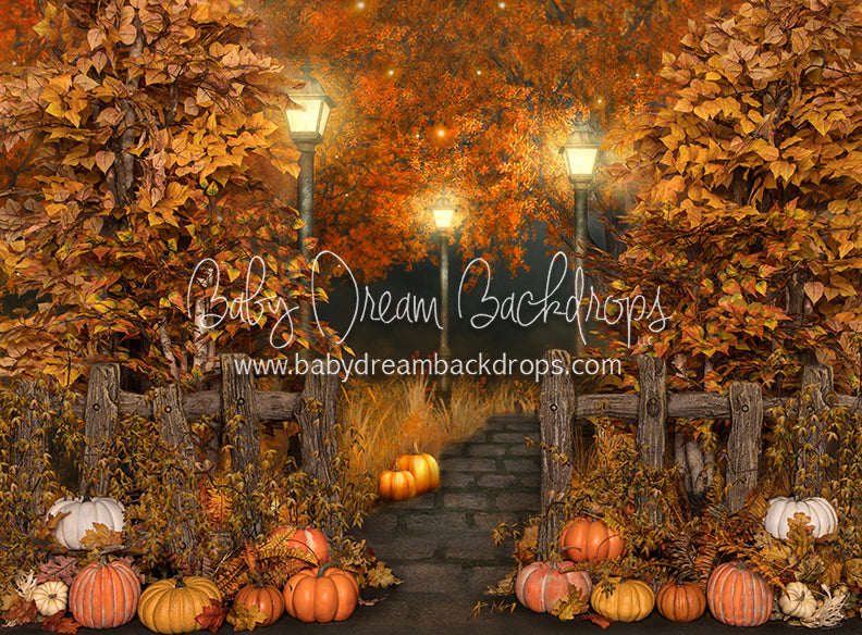 Harvest Pumpkin Path