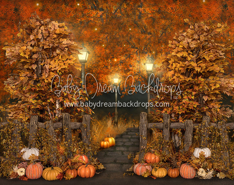 Harvest Pumpkin Path