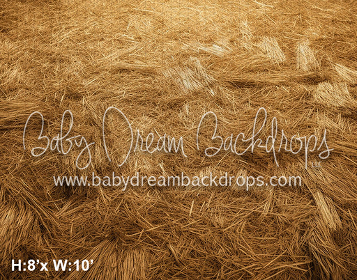 Hay on the Barn Fabric Floor (AZ)